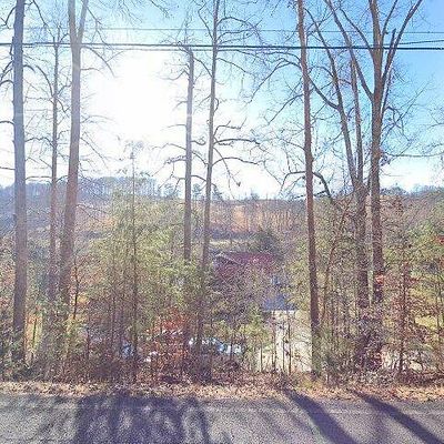 315 Lovely Bluff Rd, Rocky Top, TN 37769