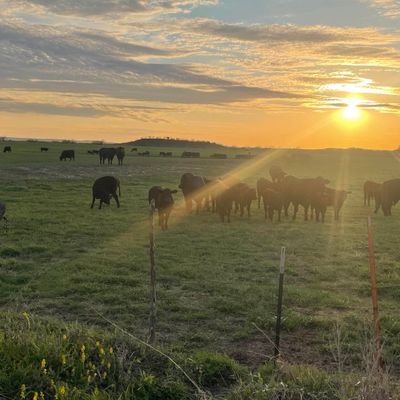 Cr 200, San Saba, TX 76877