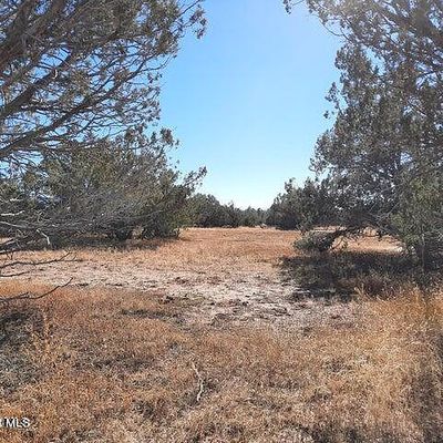 Lot 564a Caliente Winds Way, Seligman, AZ 86337