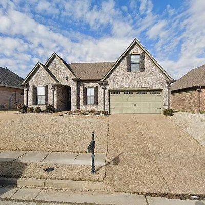 10238 Old Well Ter, Cordova, TN 38016