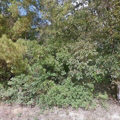 11180 Magnolia Dr, Plantersville, TX 77363