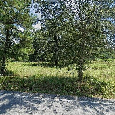 13 Yellow Kelp Ct Lot 157, Hopkins, SC 29061