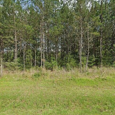 196 Twin Bridge Rd, Sandy Hook, MS 39478