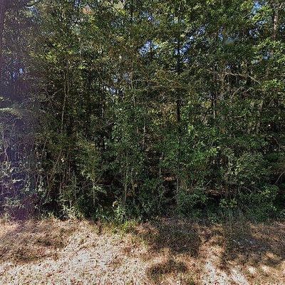 20805 Old River Rd, Vancleave, MS 39565