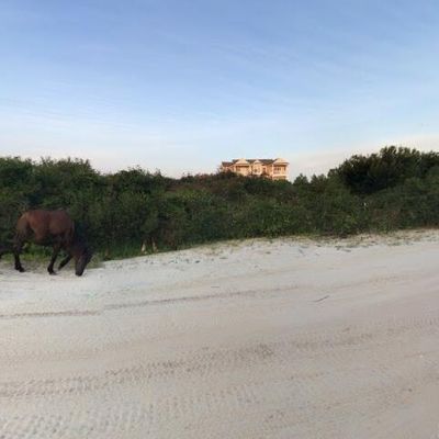 2103 Sandfiddler Rd Lot 25, Corolla, NC 27927