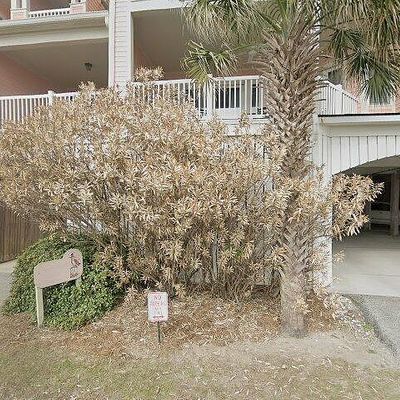 212 W Artic Ave #103, Folly Beach, SC 29439