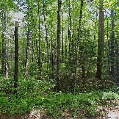 3050 A E Boundary Trl, Lac Du Flambeau, WI 54538