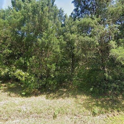 518 Doc Johnson Rd, Purvis, MS 39475