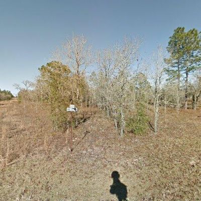 531 Ne 148th Ter, Williston, FL 32696