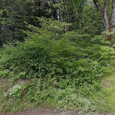 53613 Shular Rd, Rockport, WA 98283