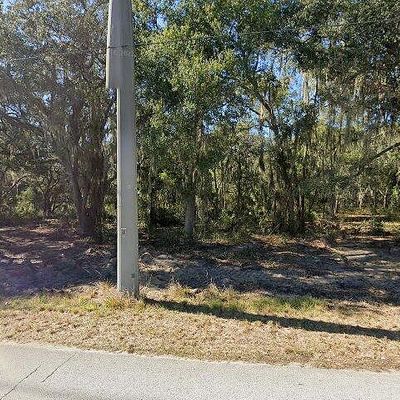 783 Little Cloud Pl, Valrico, FL 33594