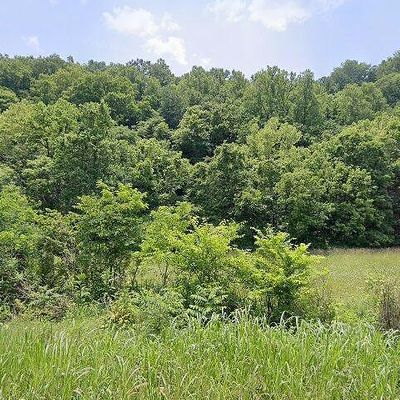 966 St Tide Hollow Rd, Newport, TN 37821