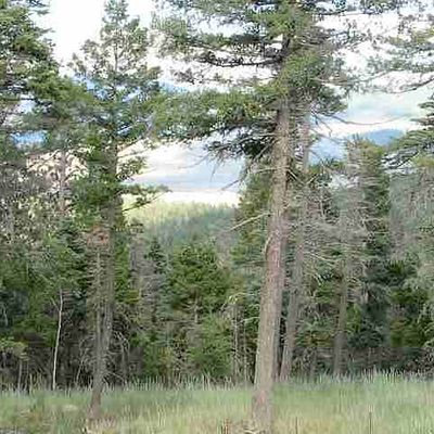 11 Palo Flechado Ridge Rd, Angel Fire, NM 87710