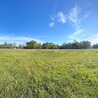 19407 E County Road 4, Slocomb, AL 36375