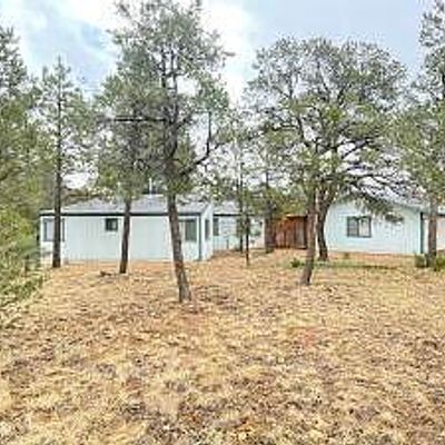 3609 Zane Grey Trl, Overgaard, AZ 85933