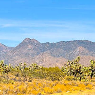 Tbd Alamo Rd 44.72 Acres, Yucca, AZ 86438