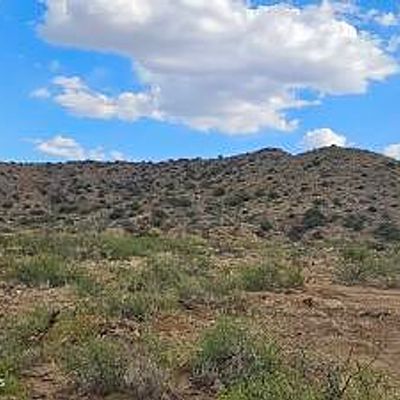 Tbd N College Peak Rd Lot 111    111, Douglas, AZ 85607