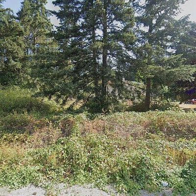 11648 Bald Hill Rd Se, Yelm, WA 98597