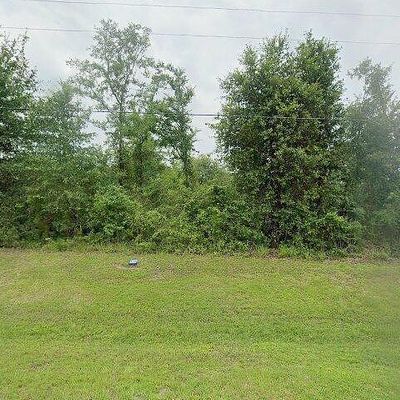 226 Branchwood Dr, Livingston, TX 77351