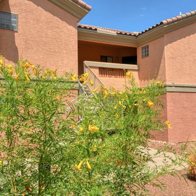 3650 Morning Star Dr Drive # 2008, Las Cruces, NM 88011