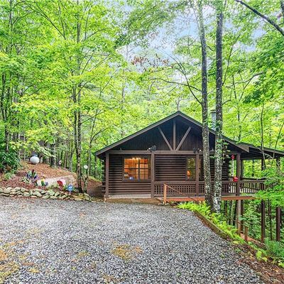 67 Tomahawk Trail, Cherry Log, GA 30522