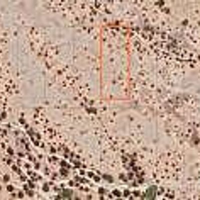 0      2, Unincorporated County, AZ 85326