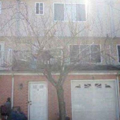 12 Tompkins Place, Staten Island, NY 10305