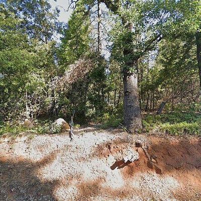 21985 Shake Ridge Rd, Volcano, CA 95689