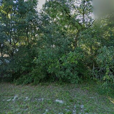 2539 Sw 154 Th Place Rd, Ocala, FL 34473