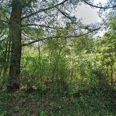 694 Napier Rd, Hohenwald, TN 38462