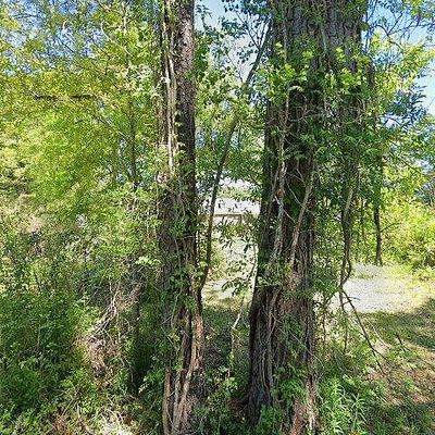 10193 Beckendorf Rd, Hammond, LA 70403