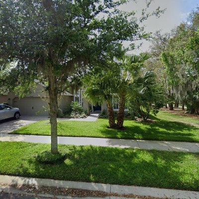 15603 Sunset Run Ln, Lithia, FL 33547