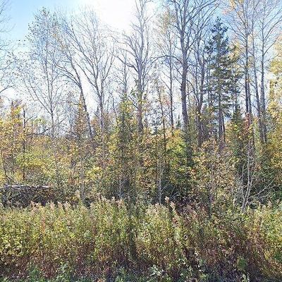 19841 Bell Loop, Bagley, MN 56621