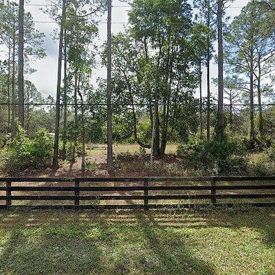 225 Pioneer Trl, Green Cove Springs, FL 32043