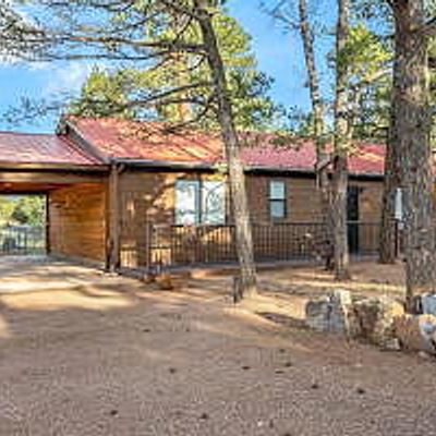 2933 Woods Dr, Overgaard, AZ 85933