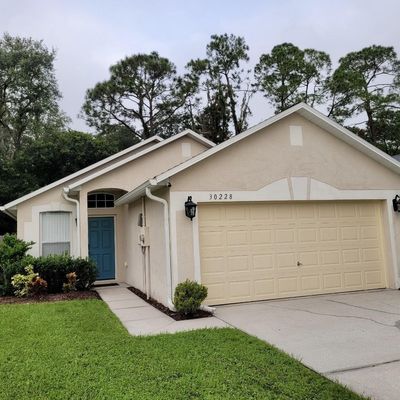 30228 Birdhouse Dr, Wesley Chapel, FL 33545