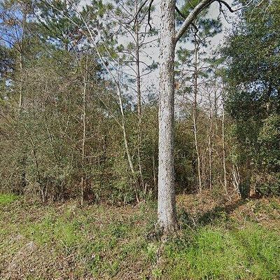 3043 Lewis Rd, Milton, FL 32570