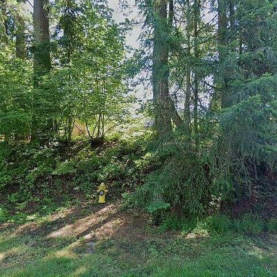 2806 247 Th Ave Se, Sammamish, WA 98075