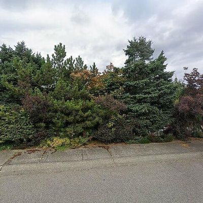 4642 176 Th Ave Se, Bellevue, WA 98006