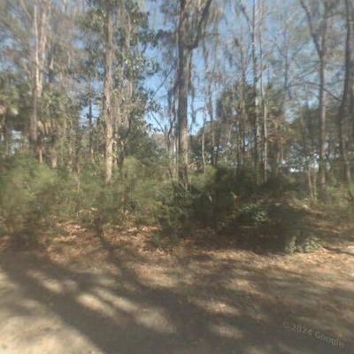 47 Spring Island Dr, Okatie, SC 29909