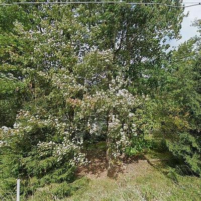 500 Quail Hill Rd, Normalville, PA 15469