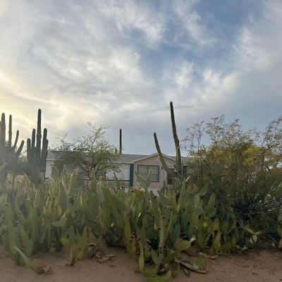 6275 N Desert Trl Rd, Tucson, AZ 85743