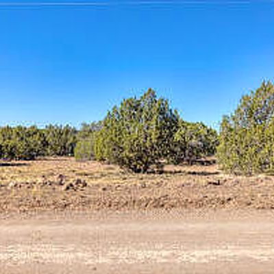 67 County Road 8221    275, Concho, AZ 85924