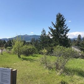 Country View Rd and Heidi Lane