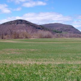 100 ACRES FARM LAND Catskills Mountains NY Schoharie County Clauverwie Road