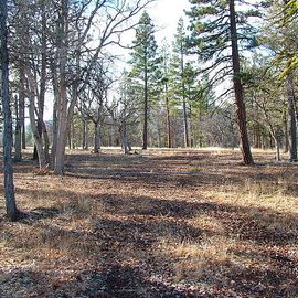 43365 Shoshoni Loop Lot 68