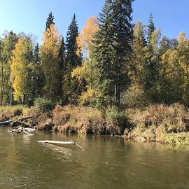 Chena River