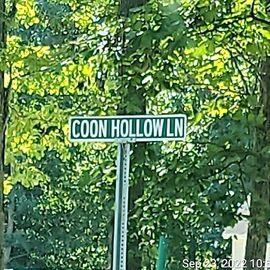 232 COON HOLLOW TRL