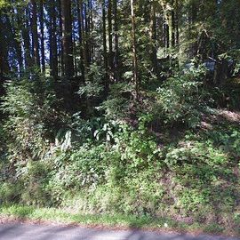 485 CAZADERO HWY