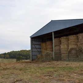 179-acres Townsend Rd.